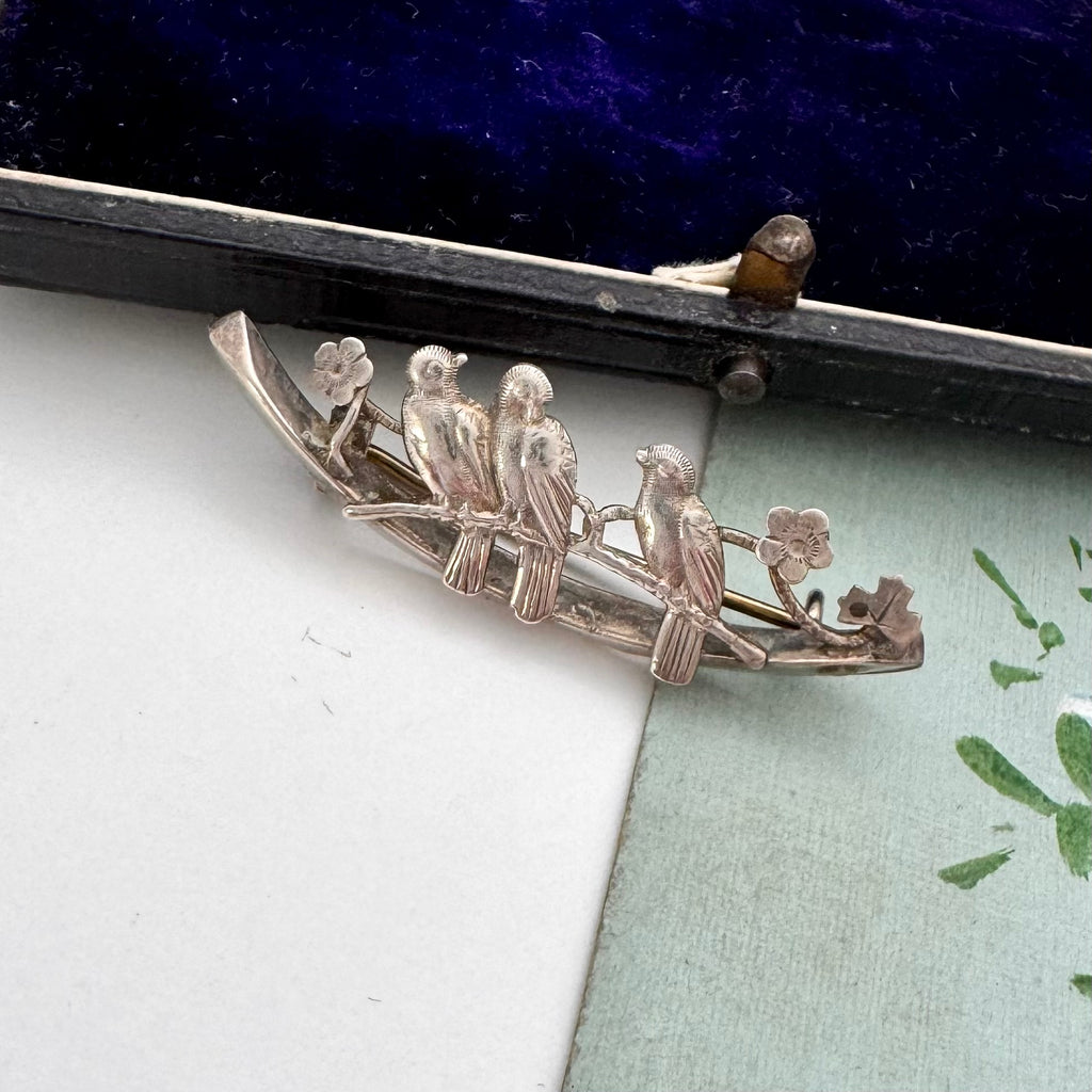 Silver brooch with birds on a branch on a white and green background