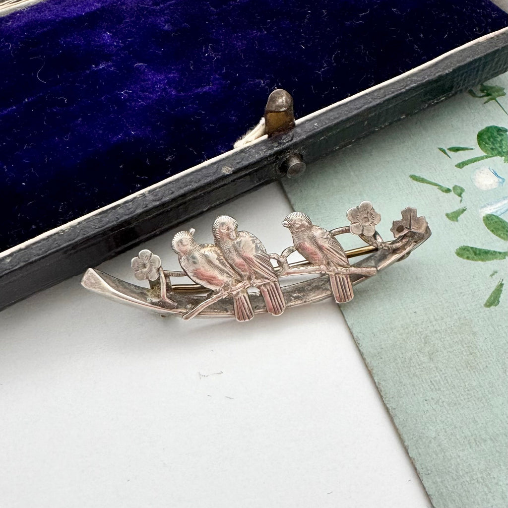 Silver brooch with birds on a branch in a blue box