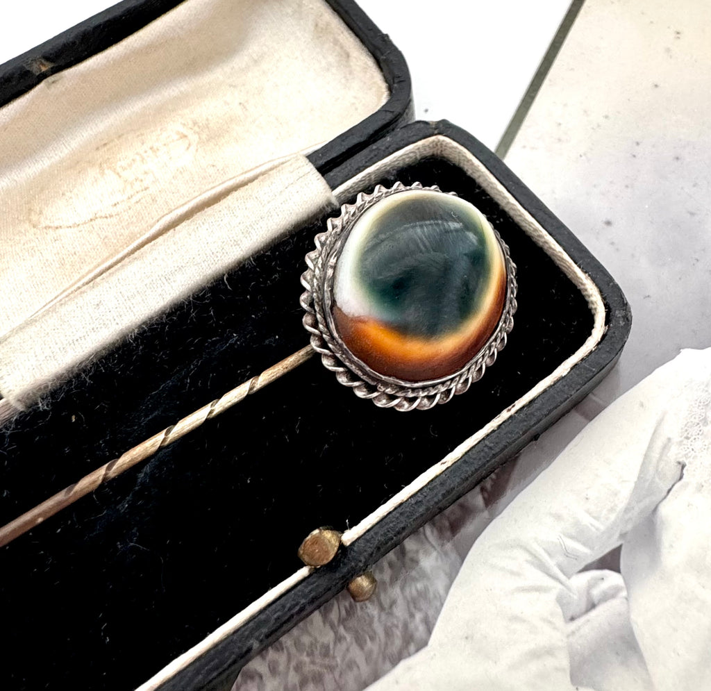 Antique operculum shell pin on an old photograph of a woman in a white dress and hat.