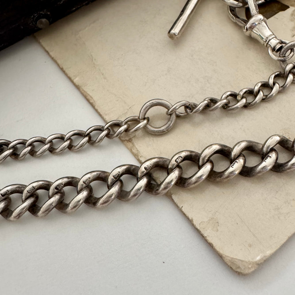 Edwardian sterling silver Albert watch chain with lion passant on every link