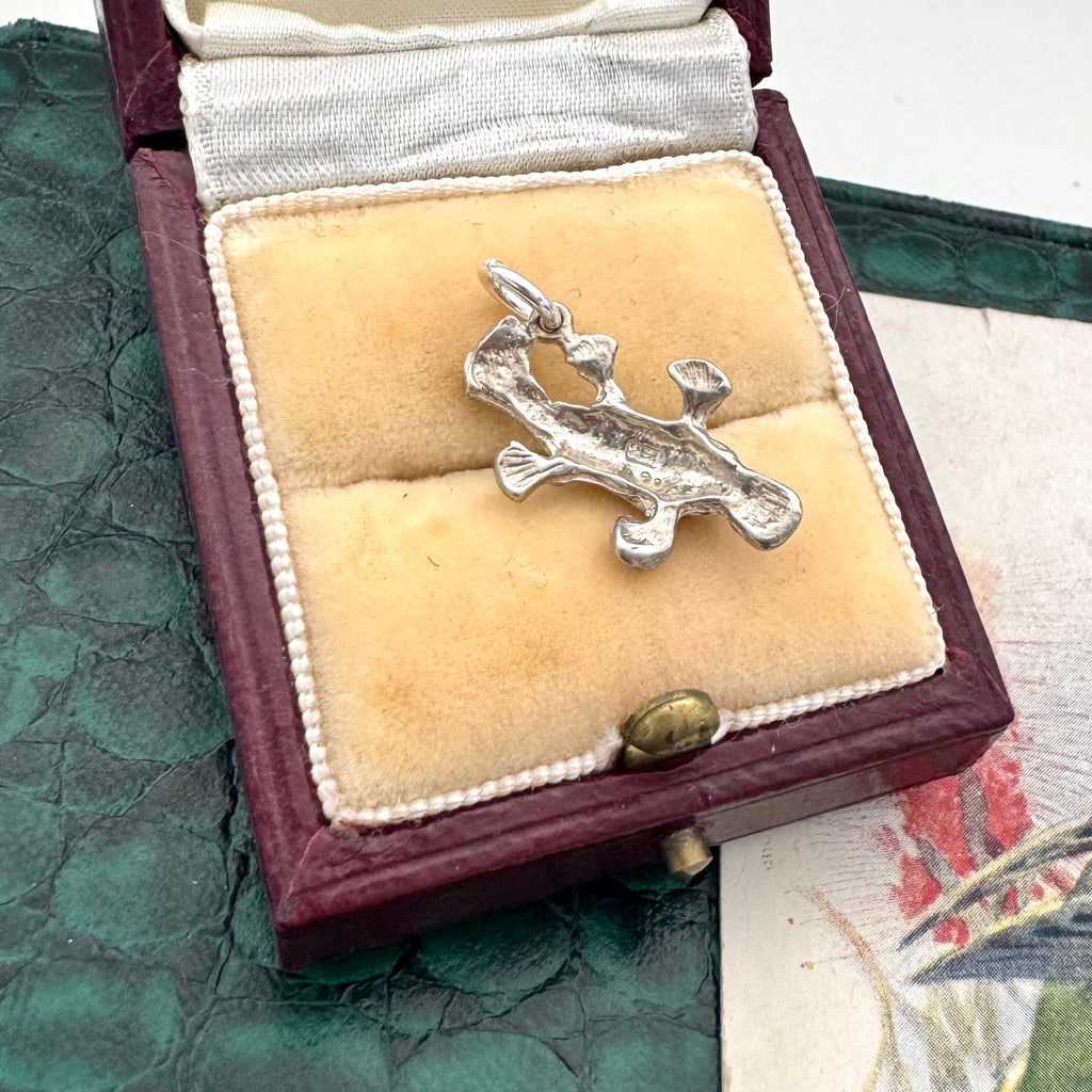 Silver platypus charm/pendant in a jewelry box on a textured surface