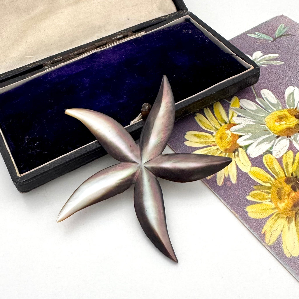 Vintage starfish-shaped black pearl shell brooch on a jewellry box and with a floral card in the background