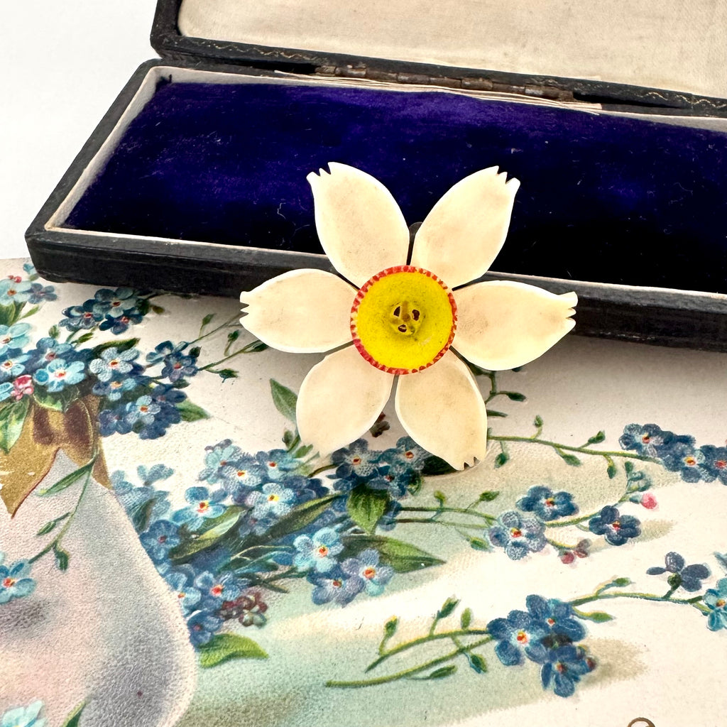 Vintage early celluloid flower brooch on a vintage postcard and box