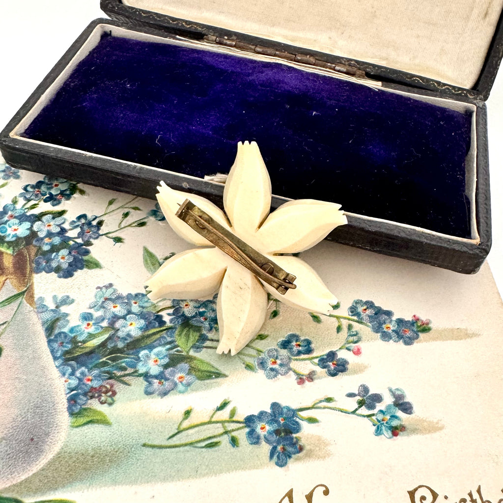 Back of Vintage early celluloid flower brooch on a vintage postcard and box