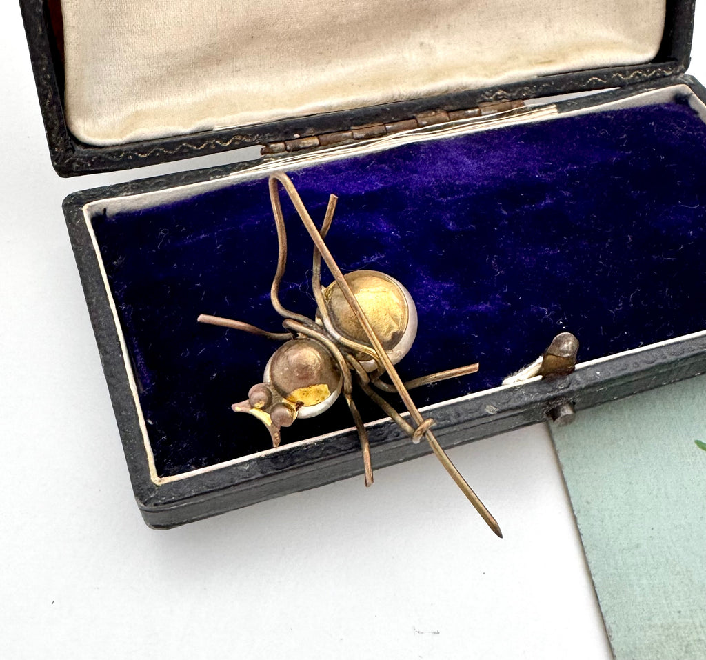 Vintage insect-shaped brooch in a jewelry box on a white background