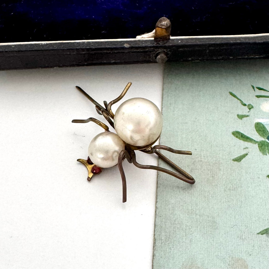 Spider-shaped brooch with pearls on a white background