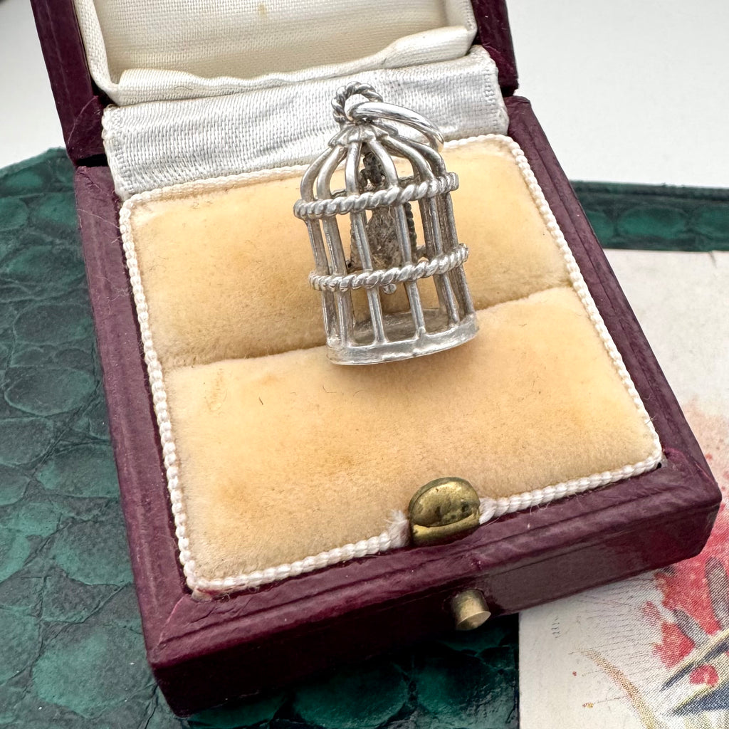 Silver birdcage pendant/charm in a jewelry box on a textured surface