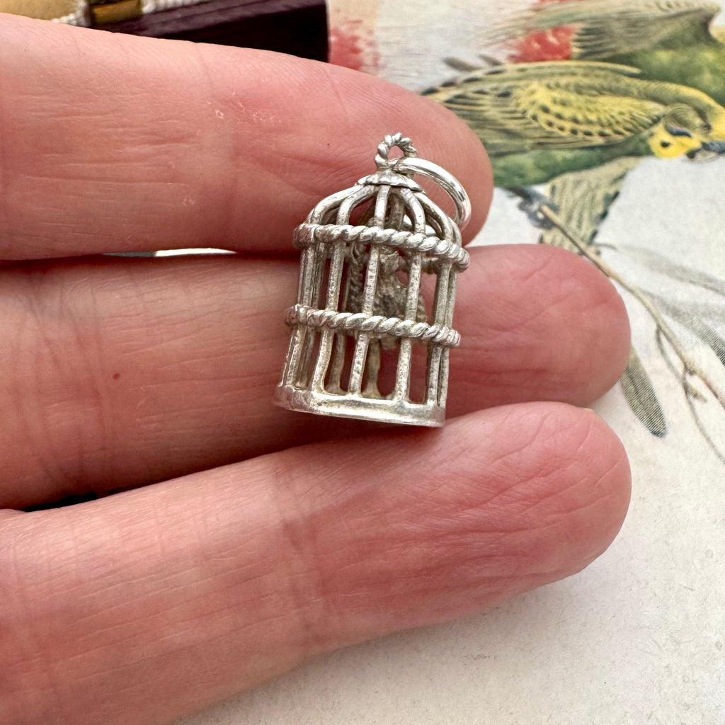 Silver birdcage charm held between fingers with a decorative background