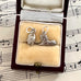Silver vintage scarab beetle and sphinx charm in a jewelry box on sheet music
