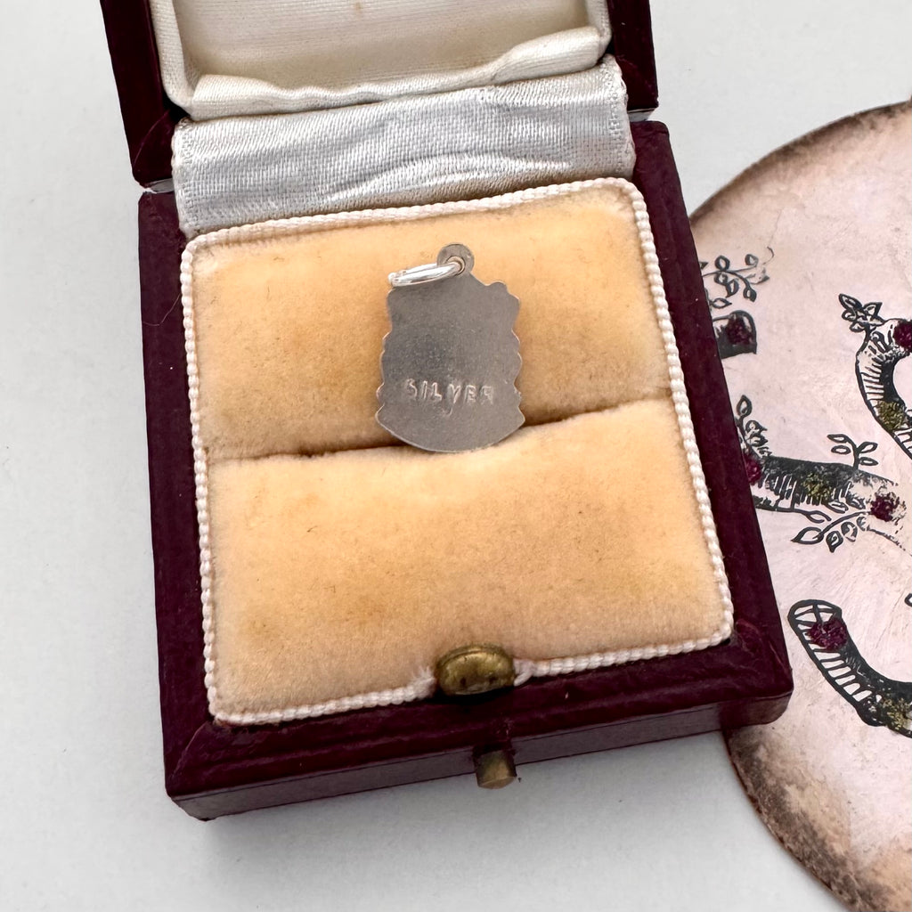Silver pendant in a jewelry box with a visible 'Silver' stamp on a white background.