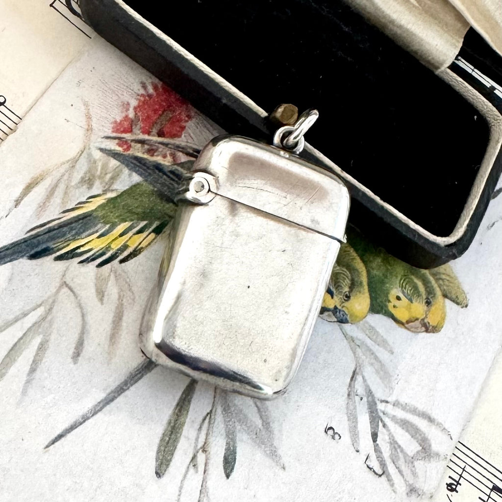 Vonk Jewellery antique 1889 silver vesta case on a vintage postcard of birds and a vintage jewellery box
