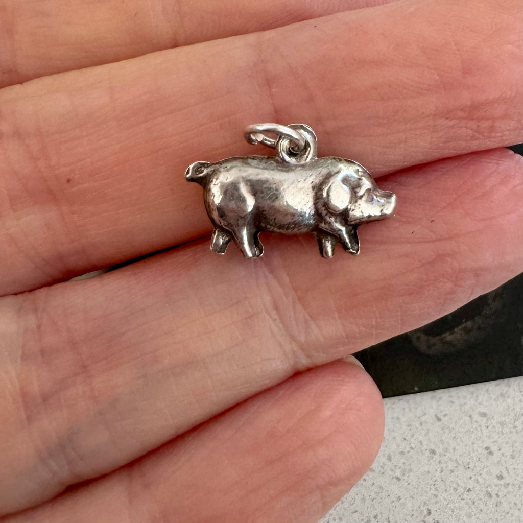 Silver pig charm held in a hand