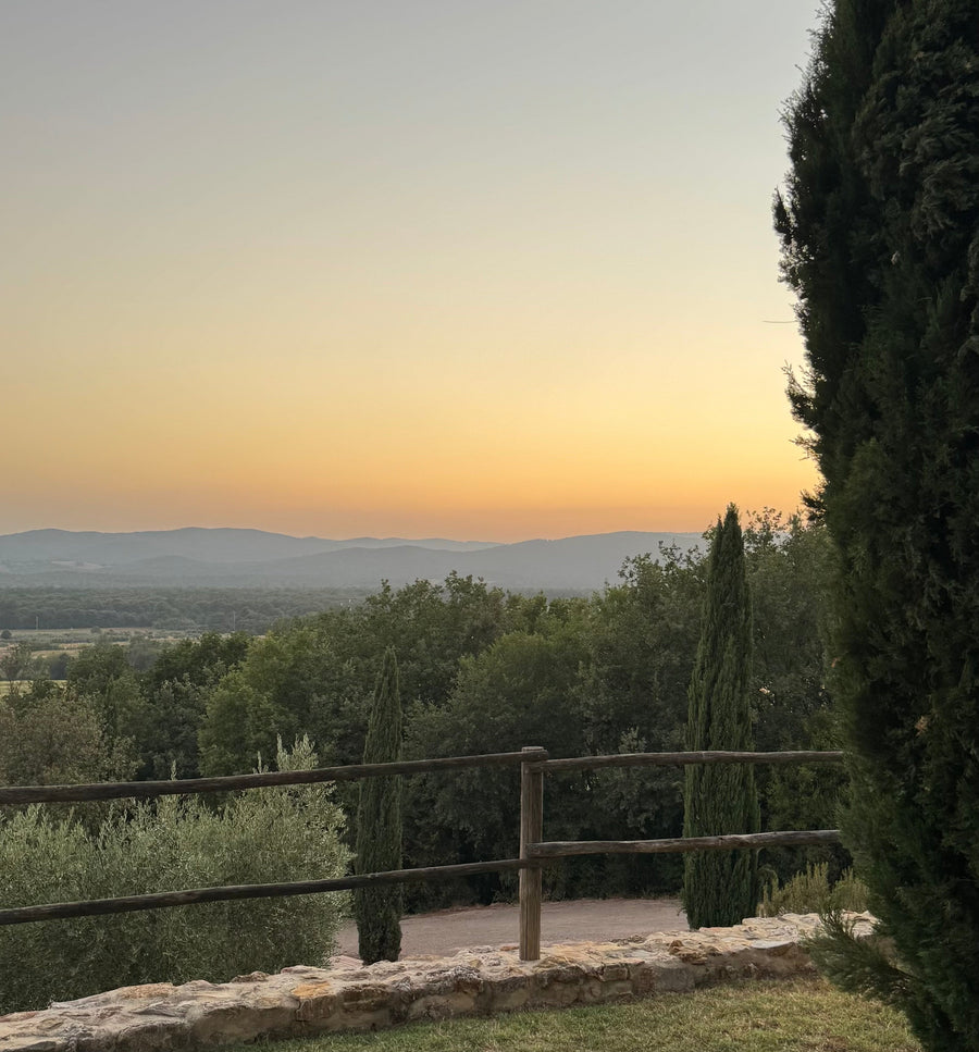 a scene from a Tuscan winery with the sun setting 