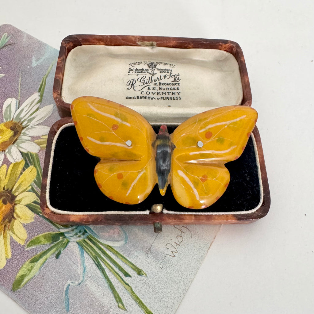 A Art Deco era antique butterfly-shaped brooch with translucent amber-yellow wings and a black body, displayed inside an open antique presentation box with a floral card underneath.