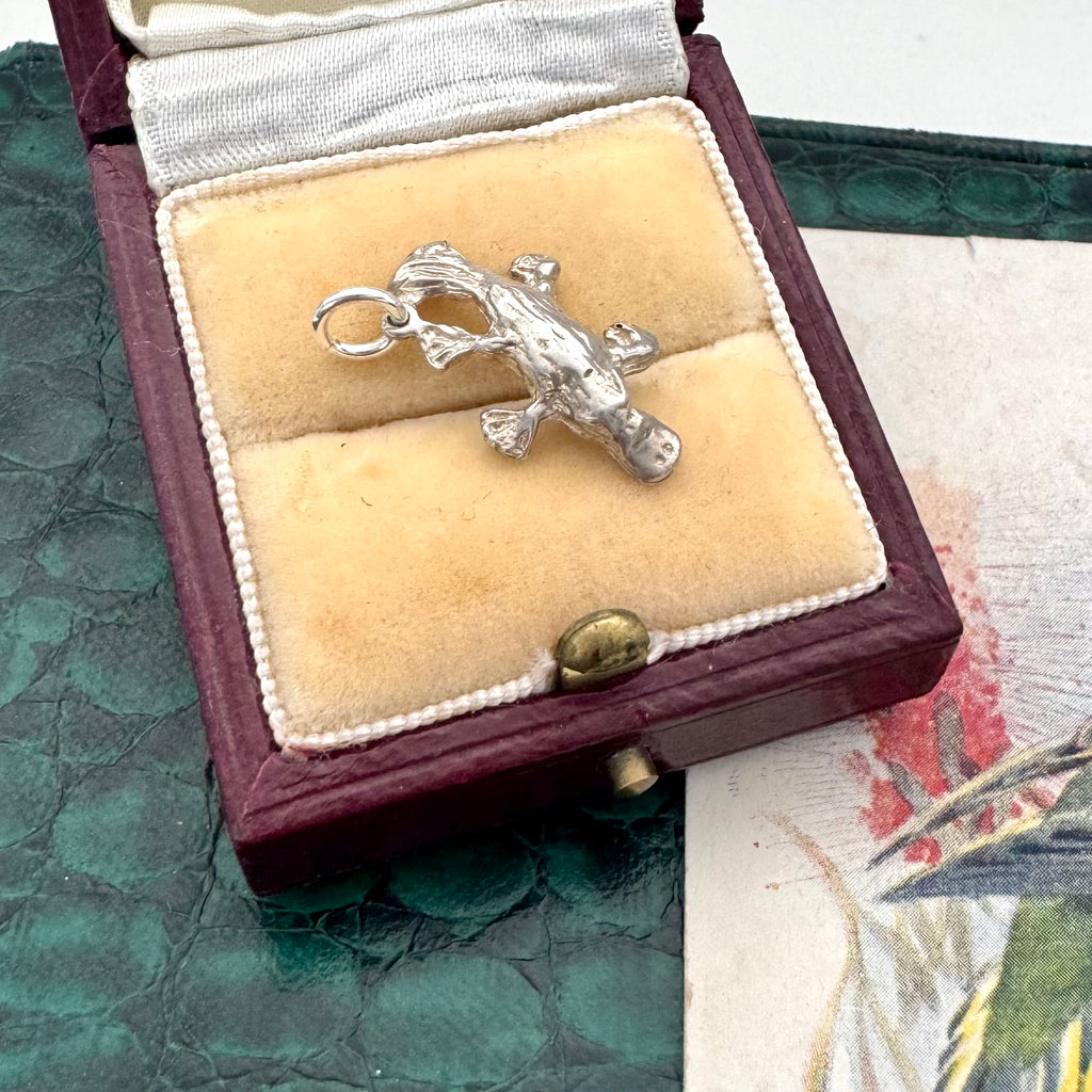 Silver platypus pendant /charmin a jewelry box on a textured surface