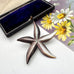 Vintage starfish-shaped black pearl shell brooch on a white surface with a floral card in the background