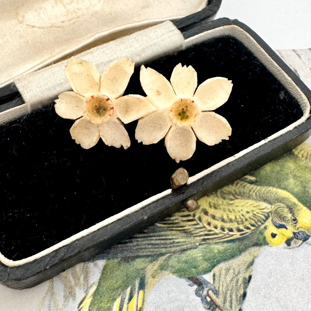 Vintage double daffodil flower brooch displayed inside an open vintage black velvet jewelry box with a beige lining, set against a background featuring a parrot illustration.