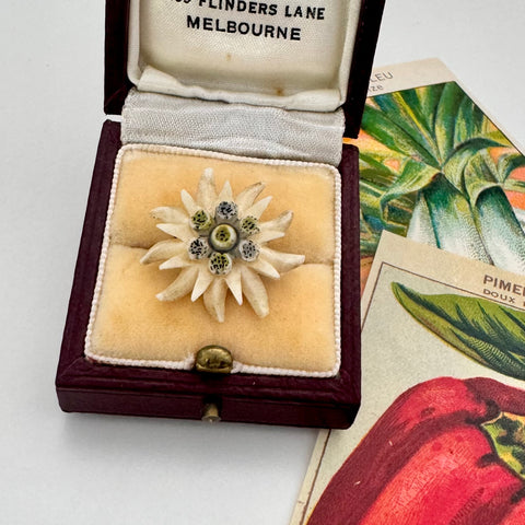 Vintage edelweiss brooch in a decorative box with botanical illustrations in the background
