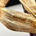 Close-up of a gold brooch with 'Sarah Coventry' branding on a white background
