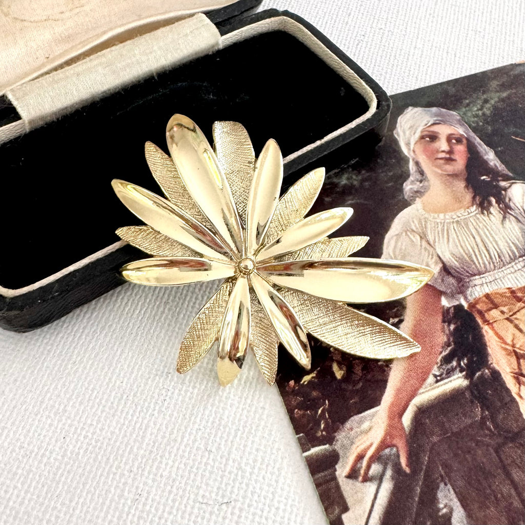 Vintage signed Sarah Coventry brooch from 1965 Tropics Collection on a textured surface with an open jewelry box and vintage illustration.