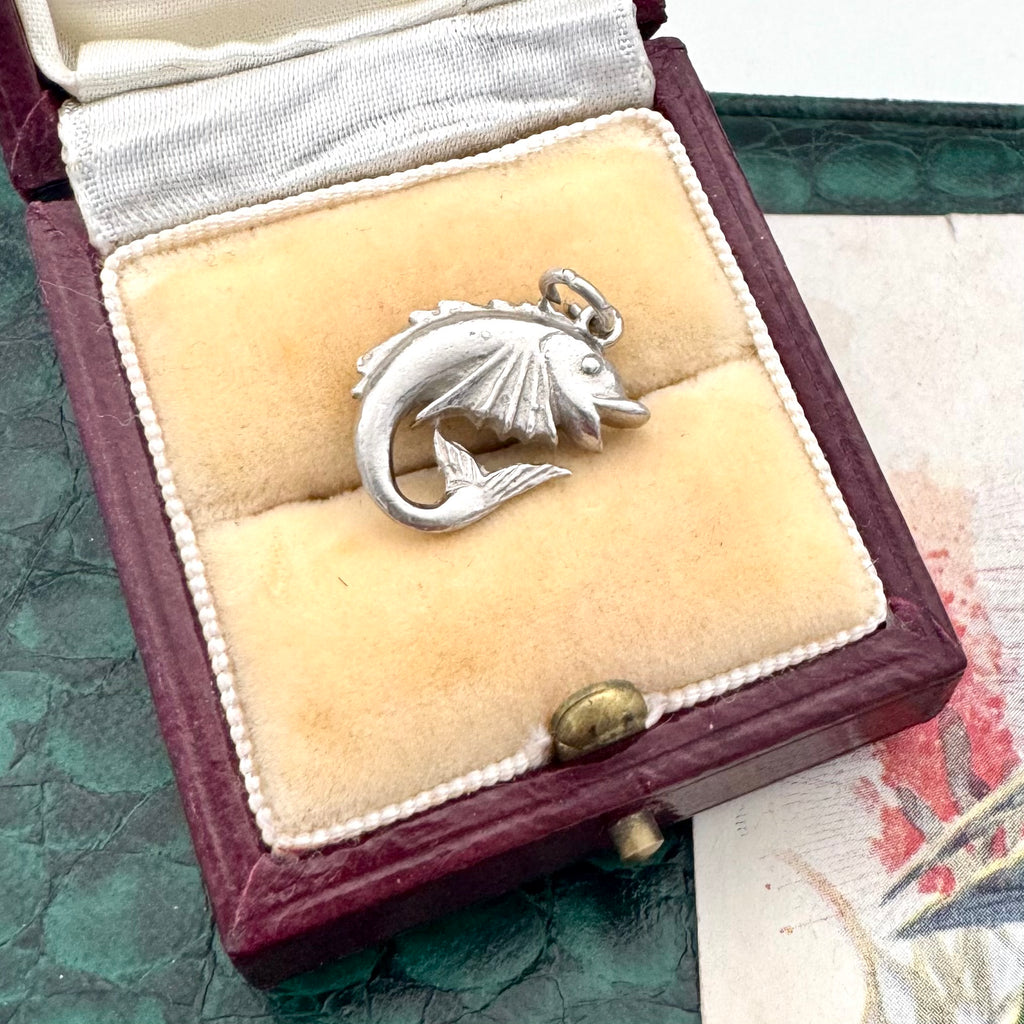 Silver fish pendant in a jewelry box on a textured surface