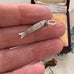 Silver fish-shaped charm held between fingers with a jewelry box in the background