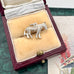 Silver zebra charm in a jewelry box on a textured surface