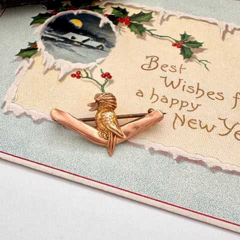 Decorative card with a gold brooch featuring a kookaburra, holly leaves, and berries on a textured surface.